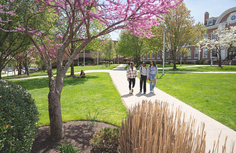 University of New Haven Esports Tiffin University (Ohio) University