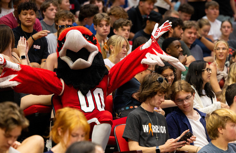 the swoop mascot sitting in a crowd of students at convocation