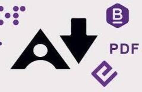 Various Alternative Formats within Ally