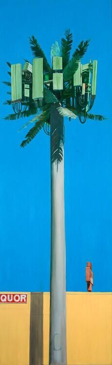 Perry Vásquez, BA ’82: Palm Trees in Paradise