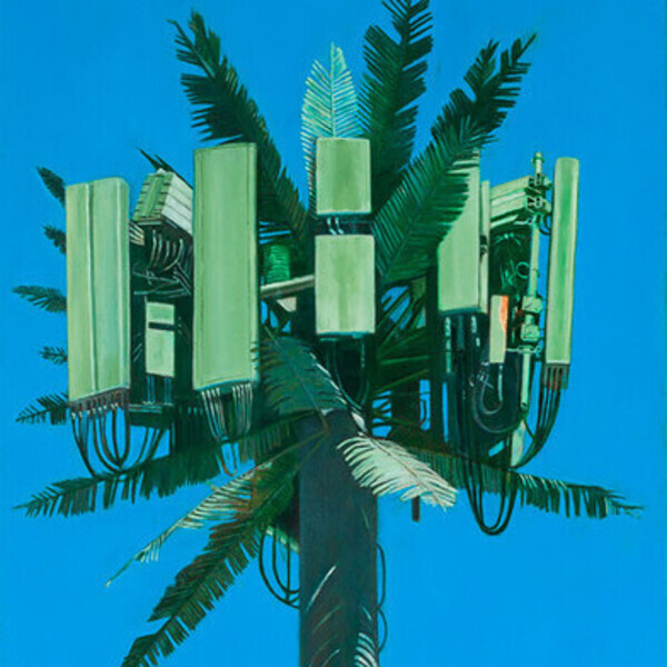 Perry Vásquez, BA ’82: Palm Trees in Paradise