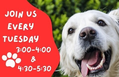 Join us every tuesday, 3-4 and 4:30-5:30 for Therapy Dogs
