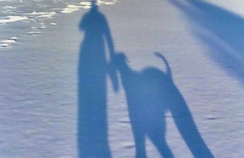 shadow of person and dog on snow
