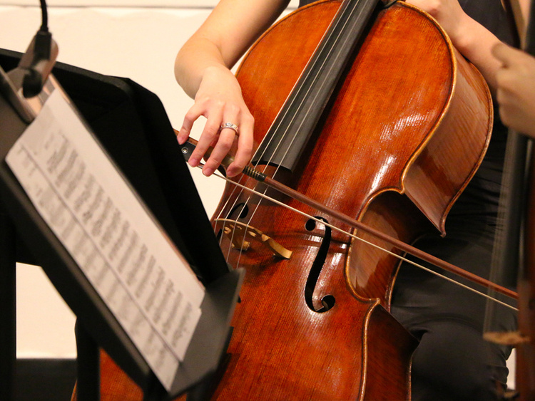 Strings and Americana Showcase image