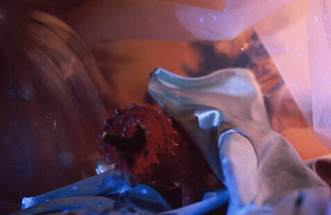 A toy stegosaurus in a landscape created by shimmery fabric.