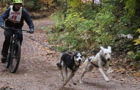 Image of Mushing Club Intro Meeting!