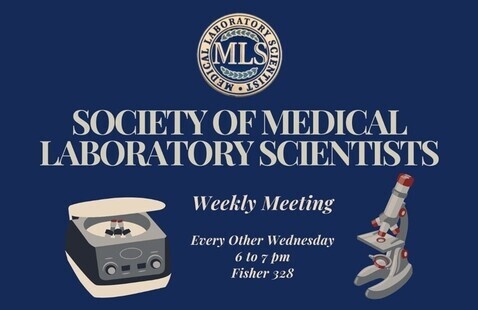 Image of SMLS Bi-Weekly Meeting