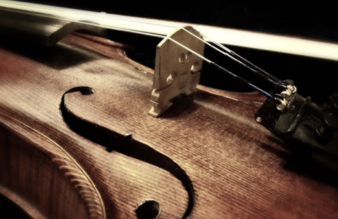 violin