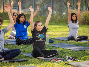 Image of Sunset Snackasana
