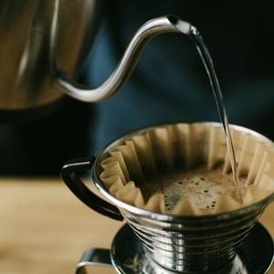 Coffee Cupping with Sophomore Coffee Roasters 