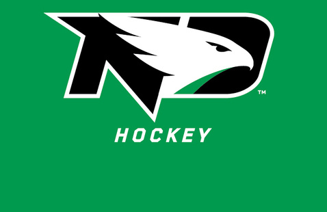 Fighting Hawk Logo with Hockey underneath