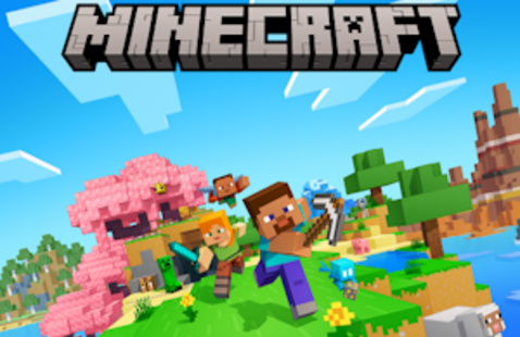 Image of CAVA MS Minecraft Club