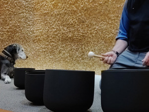 Image of Sound Healing Meditation