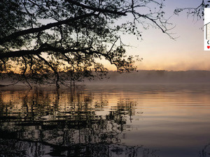 Image of Tuesday Morning Meditation