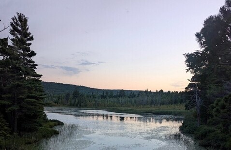 Image of Wetland Restoration at the KRC