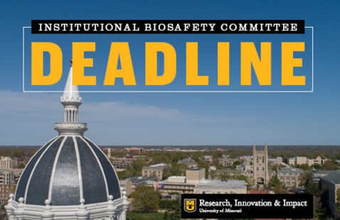 Institutional Biosafety Committee deadline with Jesse dome image
