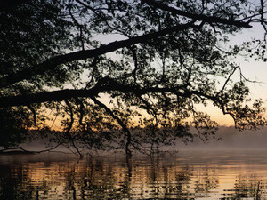 Image of Friday Morning Meditation