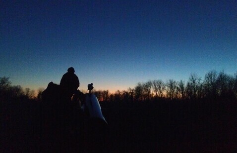 A person wearing a winter hat looks through a telescope at the darkening evening sky, with silhouettes of trees near the horizon.