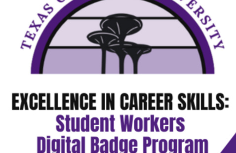 Image of Excellence in Career Skills 