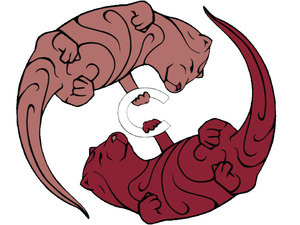 Image of Otter Study Session