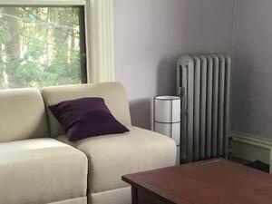 Image of Asian Center for Empowerment Open Hours