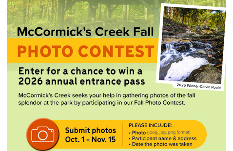 flyer for photo contest