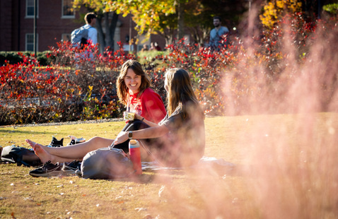 Image of Rise and Reset