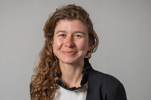 Ezra Systems Seminar: Desen Özkan (UConn)