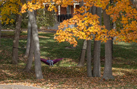 autumn leaves on western campus and a student in a hammock