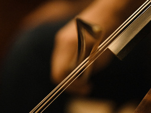 an orchestra string instrument being bowed.