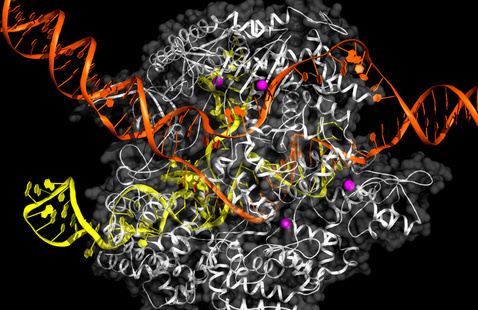 A messy, multicolor collection of DNA helixes