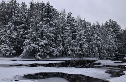 Snowy landscape of Halfway Lake