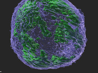 Global Oncology Symposium