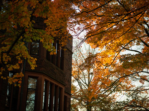 Facade of brick building, tree branches in fall colors in the foreground.