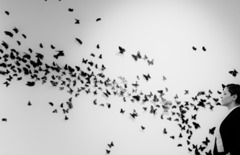 Image of I AM A MULTITUDE, an exhibition by Jill Wells 