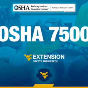 Image of   OSHA 7500 Introduction to Safety and Health Management