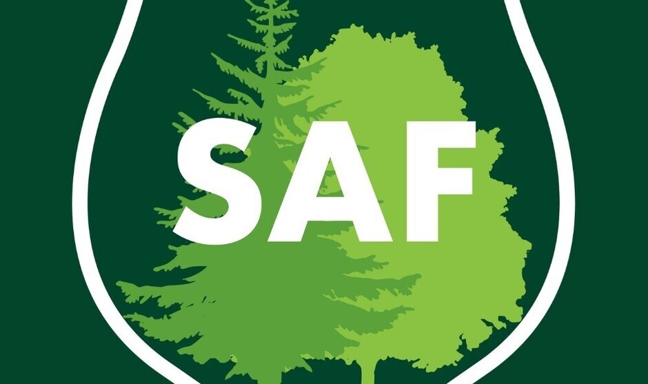 Image of Bleach Dying w/ SAF Forestry Club