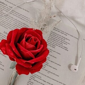Online Discussion of Our Favorite Love Poems