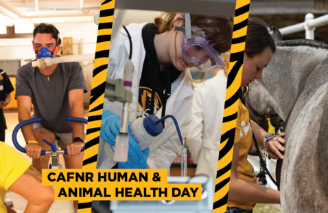 Student exercising, student doing labwork