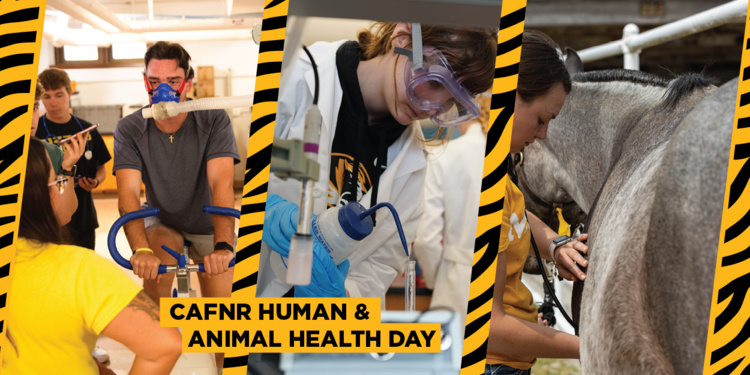 Featured image for CAFNR Human and Animal Health Day