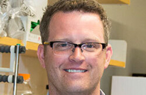Image of Seminars in Infection & Immunity (VETMI 7120) -- Dr. Brian VanderVen