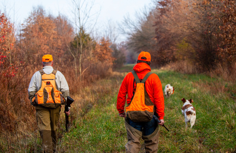 two hunters walking on trail with dogs