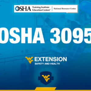 Image of OSHA 3095 Electrical Standards