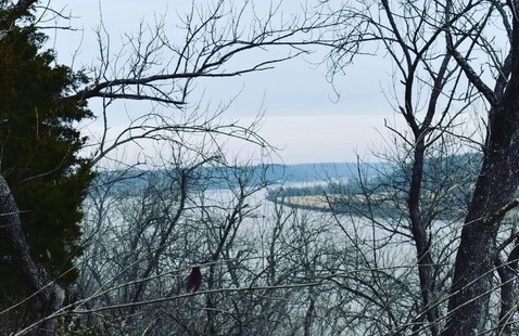 View of Ohio River from atop bluff