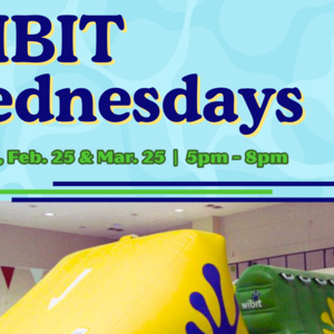 Featured event photo for WIBIT Events