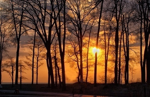 Image of Virtual:  Nighttime Tapestry