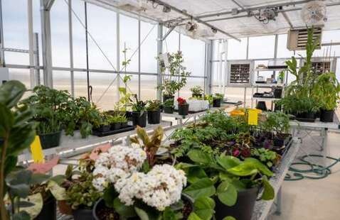 Fort Lupton Greenhouse