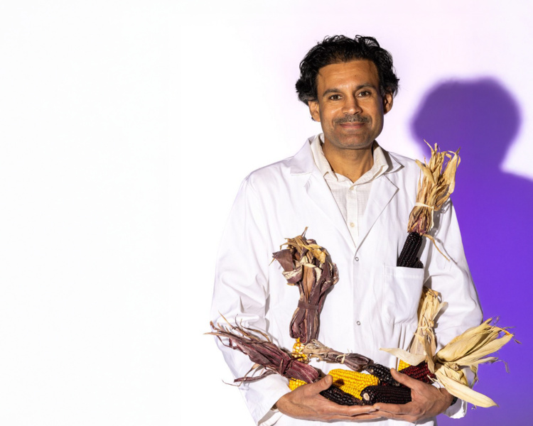 Featured image for CAFNR Research Council Webinar 