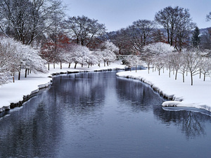 Colgate Scenic in the Winter