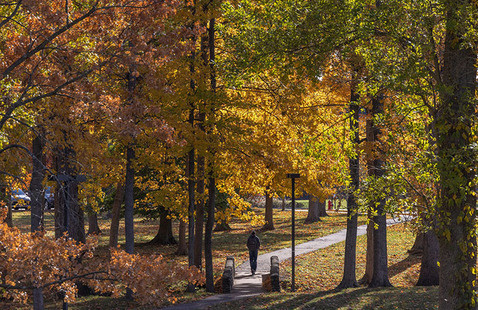 autumn trees and small stone bridge on western campus between Patterson Place and Presser Hall